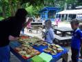 14. Juli - Foto: Evelyn Simson