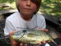 17. Juli: Zum Geburtstag wurde Fisch gegrillt (Foto: Evelyn Simson)