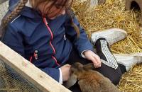 19. November: Kuscheln mit Bunny. (Foto: Hellas Adlung)