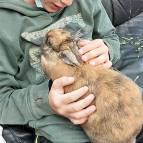 13. Juni: Kuscheln mit Smokey ist immer so schön. Er hat ganz weiches Fell. (Foto: Hellas Adlung)