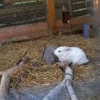 16. Oktober: Erstmal ein bisschen kuscheln. (Foto: July Krause)